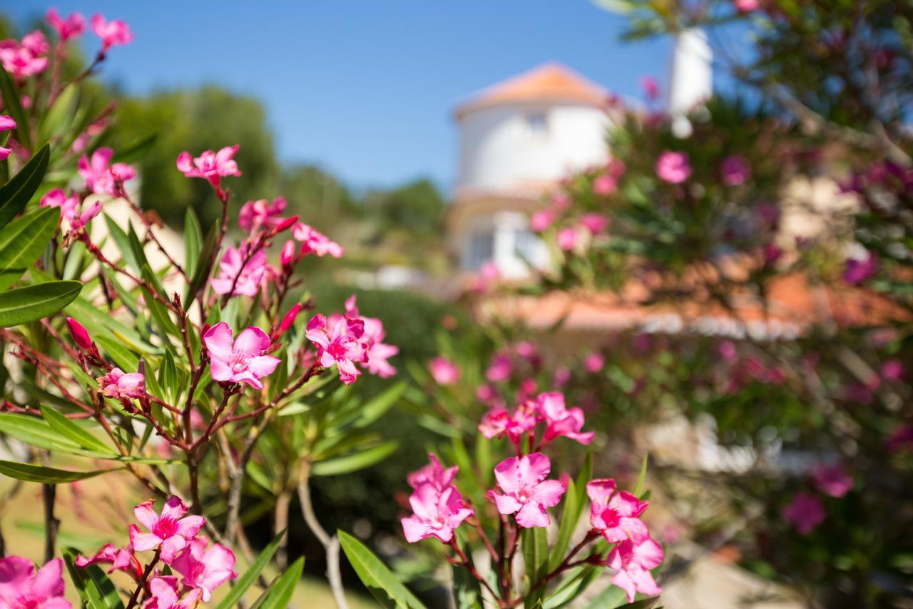 סינטרה Quinta Do Cabo Guesthouse מראה חיצוני תמונה